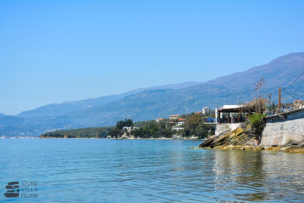 Stone Villa Pelion Afissos Bagian luar foto