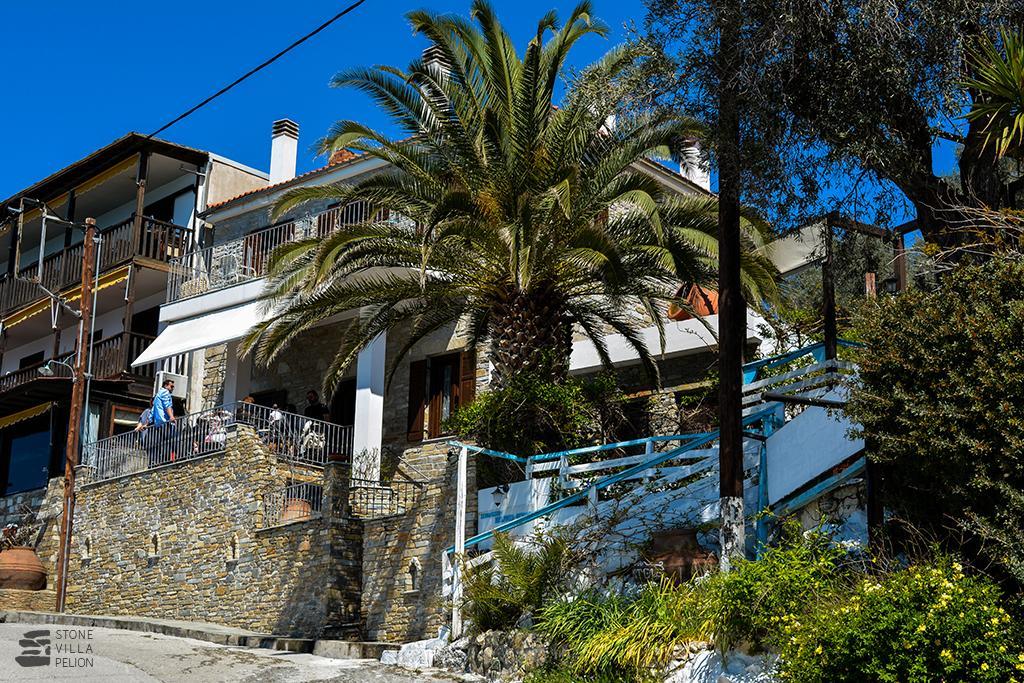 Stone Villa Pelion Afissos Bagian luar foto